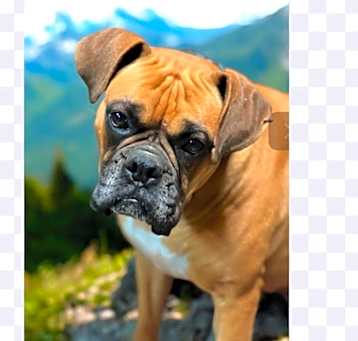 Photo of WINNIE