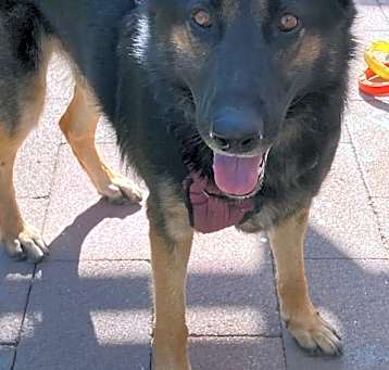 Photo of Artemis