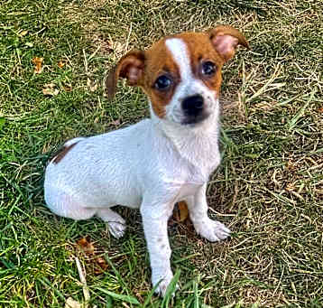 Photo of Savannah
