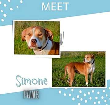 Photo of Simone