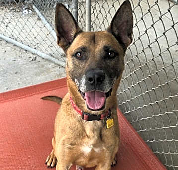 Photo of Chevy