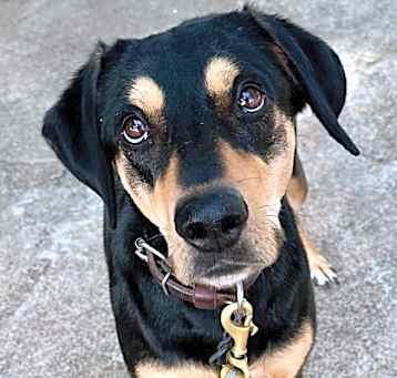 Photo of Maddy