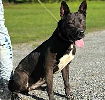 Photo of Lucky