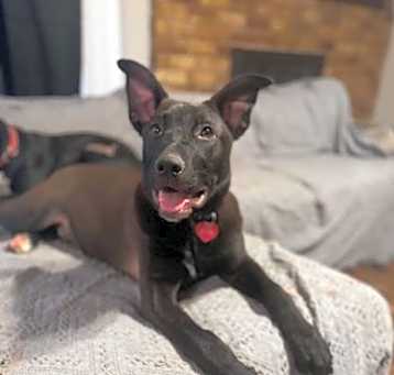 Photo of Zo