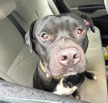 Photo of Charlie Brown