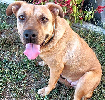 Photo of Heidi