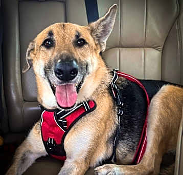 Photo of Athena $300