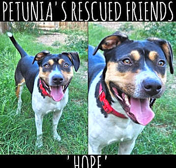 Photo of Hope