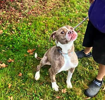 Photo of Rooty (Rootbeer)