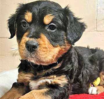 Photo of Tasha