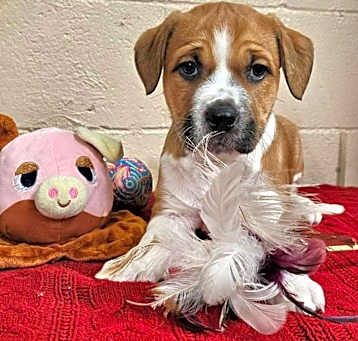 Photo of Penelope