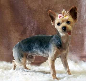 Photo of *Maya BLUE -- AUG 2024