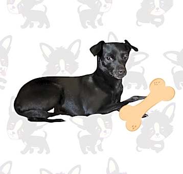 Photo of Vera