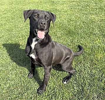 Photo of Cash