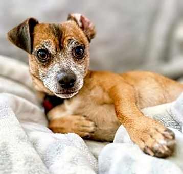 Photo of Abbott
