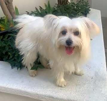 Photo of JORDY