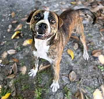 Photo of Fonzie