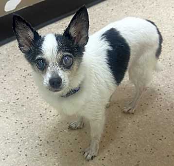Photo of LOIS NEEDS FOSTER