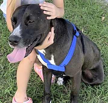 Photo of Apollo