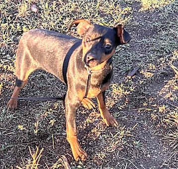 Photo of Debo