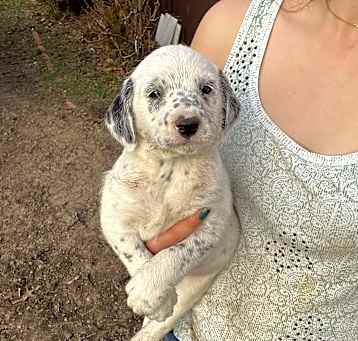 Photo of Princess