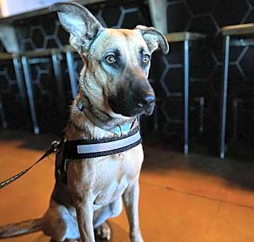 Photo of Maggie
