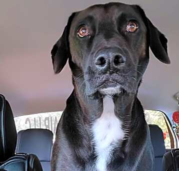Photo of Jake