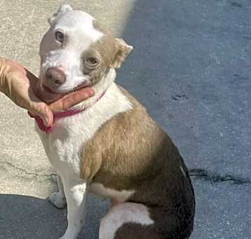 Photo of Gladys