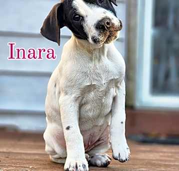 Photo of Inara