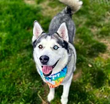 Photo of Penny
