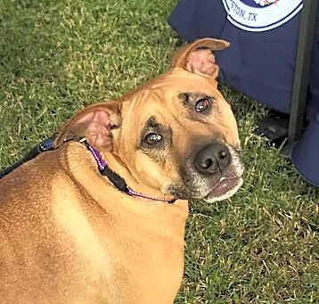 Photo of Mabel