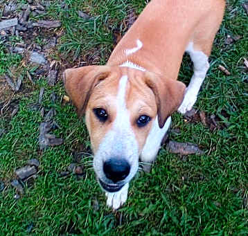 Photo of NELLIE