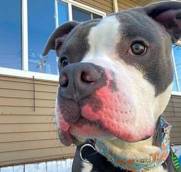 Photo of Tater