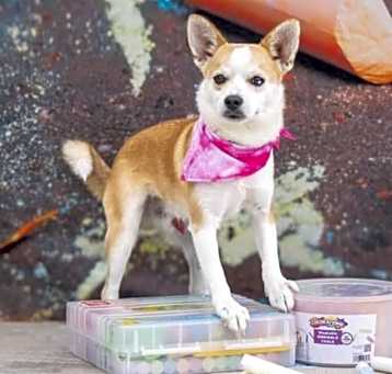 Photo of Teddy