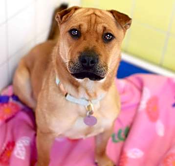 Photo of Greta
