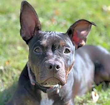 Photo of Matilda