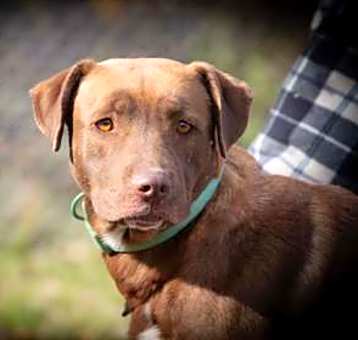 Photo of Thelma