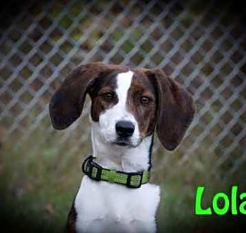 Photo of Lola