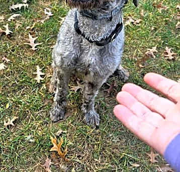 Photo of Spirit