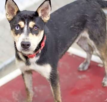 Photo of Max
