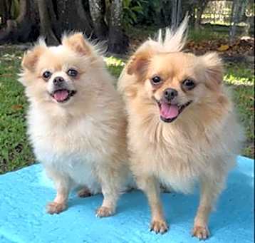 Photo of Dana & Annie Mae