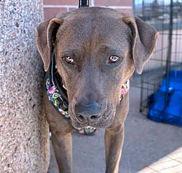 Photo of Zola aka Zo-Zo / 'Z'
