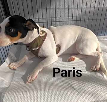 Photo of Paris