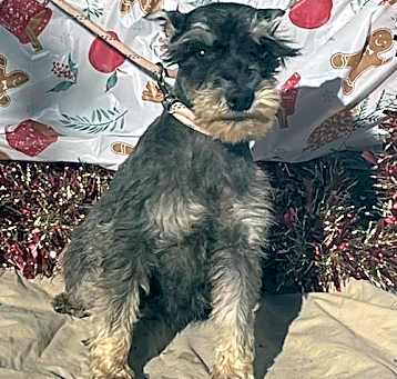Photo of FRITZ