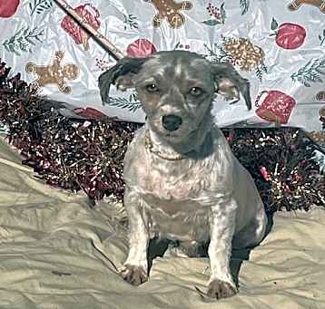 Photo of JULIE