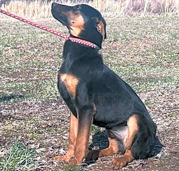 Photo of Anya