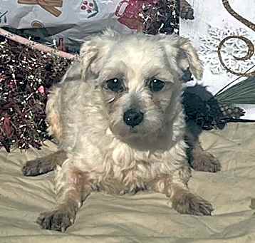 Photo of DUFFY