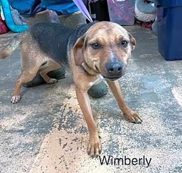 Photo of Wimberly