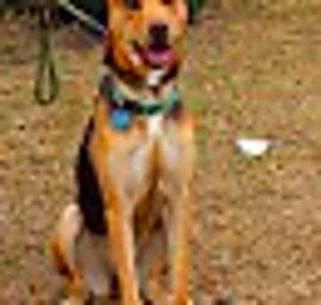 Photo of Reba