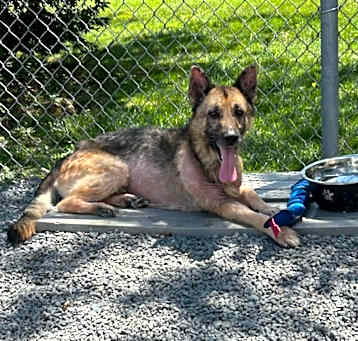 Photo of Chase